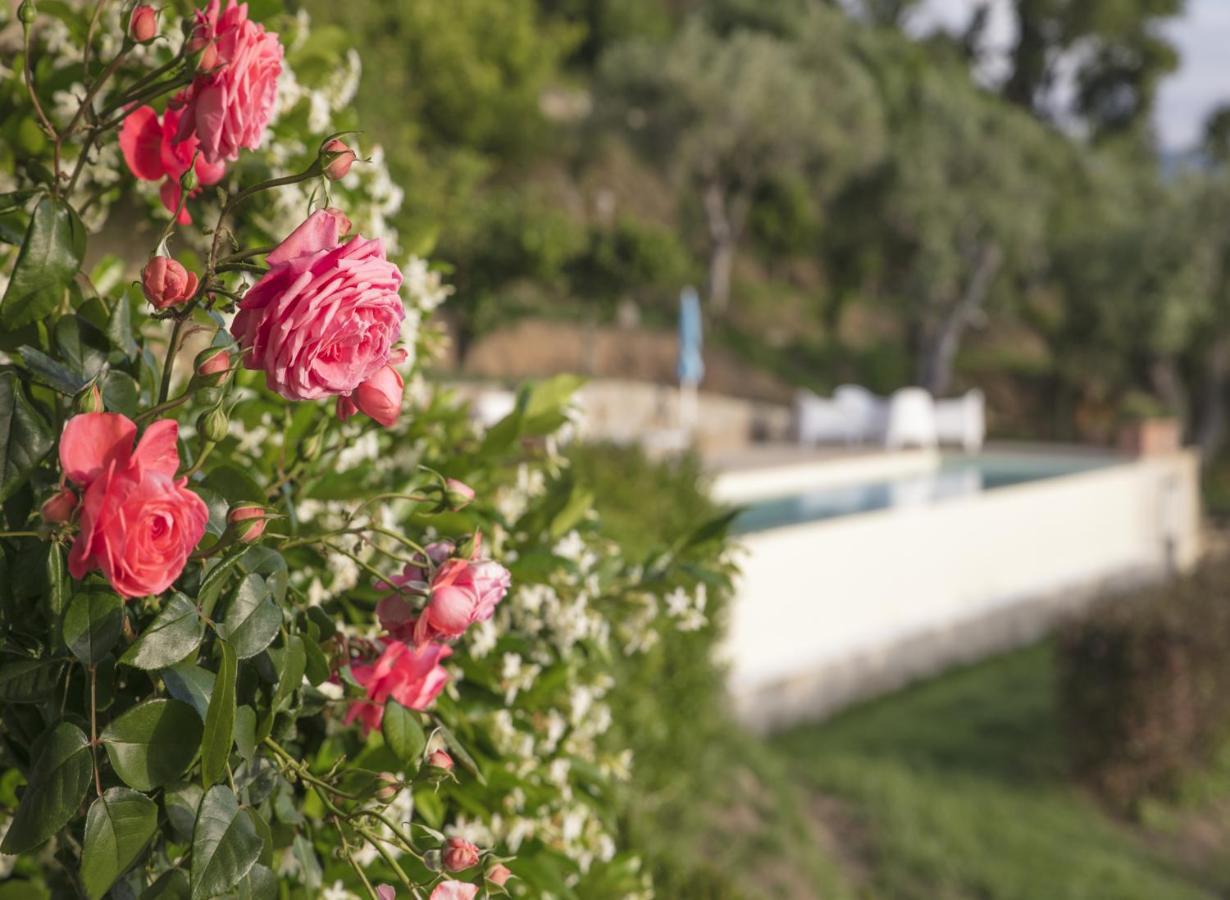 Villa Laura Capo dʼOrlando Exteriör bild