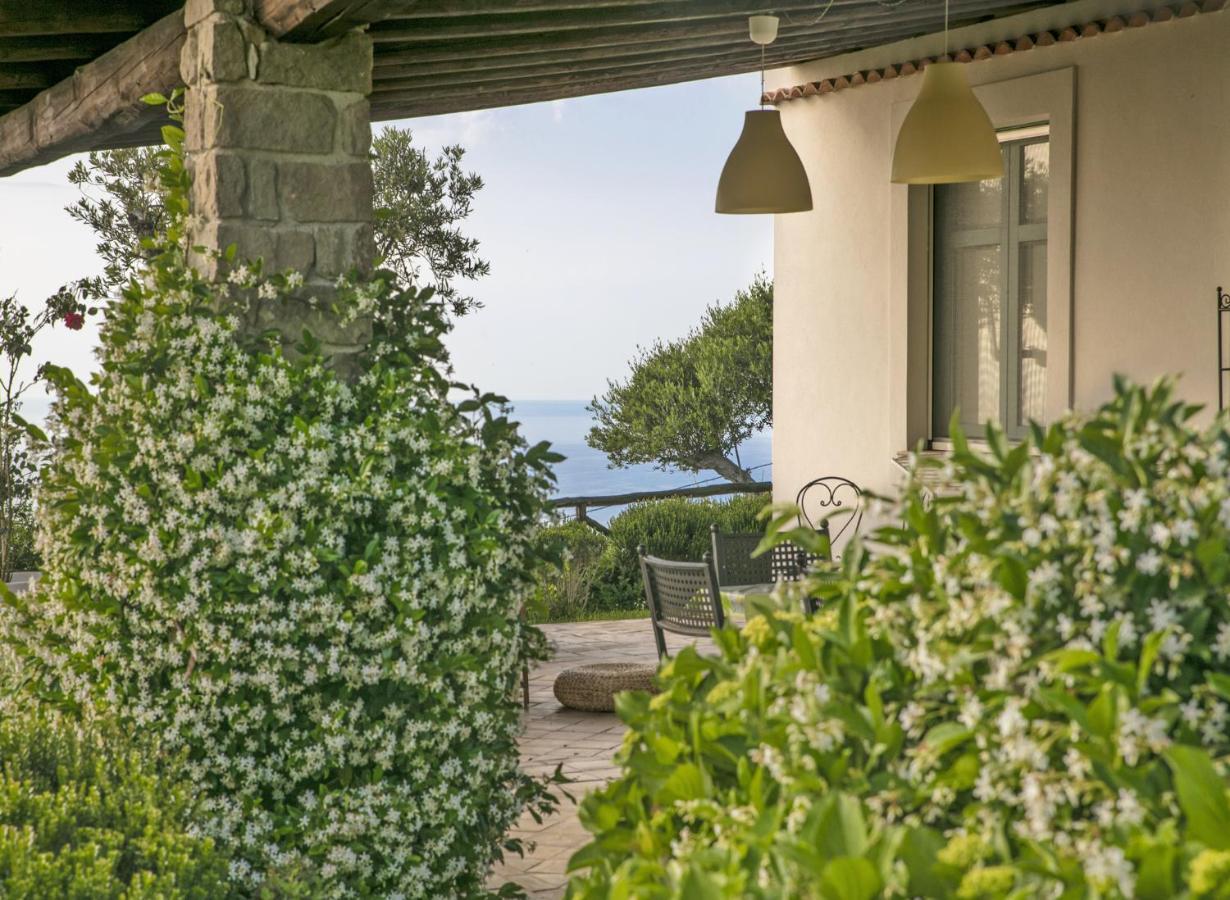 Villa Laura Capo dʼOrlando Exteriör bild